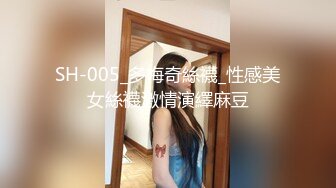 SH-005_多梅奇絲襪_性感美女絲襪激情演繹麻豆