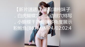 云盘流出气质美女和IT男友性爱