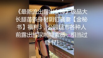 [MP4]麻豆传媒-女神恋爱巴士 淫乱巴士的性爱惩处 麻豆女神苏清歌 下集