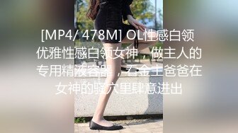 MD-0176淫魔中介卖房术-韩熙