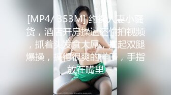 FC2 PPV 4012848 ZIP特典有【無】セクシー下着姿でハメ撮り スレンダー 地下アイドルひな 20歳に着衣で中出し 12作品目【サカイ】