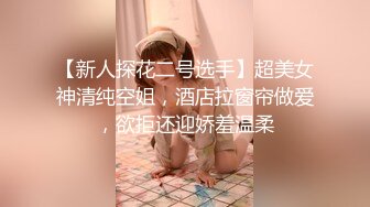 《极品反差☀️淫妻泄密》推特火爆淫荡翘臀骚母狗【芬姬夏妓】不雅私拍全集，公园露出调教野战潮喷大号道具紫薇淫水泛滥 (4)