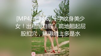 [MP4/ 1.76G]&nbsp;&nbsp;浪荡小骚妇颜值不错身材好，勾搭小哥激情啪啪，活真好胸推臀推逼也推给小哥整的欲火焚身