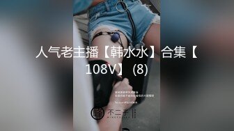 91骚妈-高速列车WC