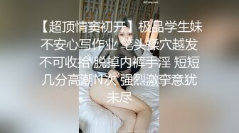 夏晴子.水电工操坏淫荡少妇.肉棒大扳手专修淫水外漏.麻豆传媒映画原创中文收藏版