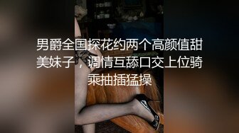 ID5237 芳情 女作家的放荡绮想 爱豆传媒