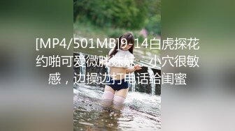 车震西安某商城气质女