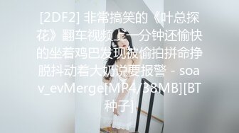 [2DF2] 非常搞笑的《叶总探花》翻车视频上一分钟还愉快的坐着鸡巴发现被偷拍拼命挣脱抖动着大奶说要报警 - soav_evMerge[MP4/38MB][BT种子]