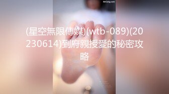 (星空無限傳媒)(wtb-089)(20230614)到府親授愛的秘密攻略