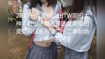 2022一月最新流出TW厕拍大神（野狼）潜入景区女厕偷拍美女尿尿系列第二十二季新地点侧拍