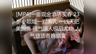 【阿龙探花】过年不休息 龙哥喊了个良家人妻共渡春宵