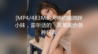 [MP4]杏吧传媒 穷人的女神富人的肉便器 师师