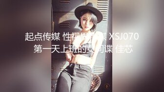 起点传媒 性视界传媒 XSJ070 第一天上班的女间谍 佳芯