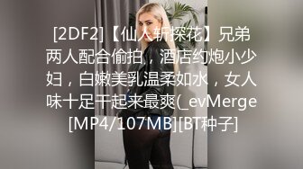 [2DF2]【仙人斩探花】兄弟两人配合偷拍，酒店约炮小少妇，白嫩美乳温柔如水，女人味十足干起来最爽(_evMerge [MP4/107MB][BT种子]