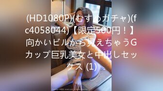 (HD1080P)(山と空)(sora00434)ハメを外しに来たの…」セックスレス旦那にむかっ腹ヤケ酒で、不貞露出！！他人棒にトロデレ淫酔中出しSEX！！