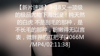 Hotel监控系列 20240920 吃伟哥血战到底 (3)