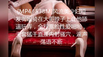 [MP4/3.2G] 3P三飞简直人生赢家~推特大佬的小快乐征服多位极品女友投行模特空姐各种反差婊太性福了 26部合集