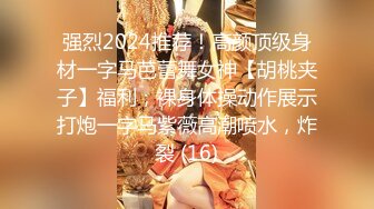 [MP4]IDG5390 爱豆传媒 被同城小姐姐治愈的早泄男 露露 VIP0600