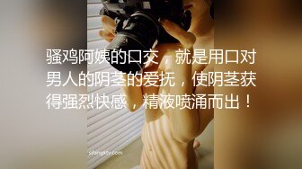 极品少妇 母狗调教 情趣黑丝 倒立吃鸡吧