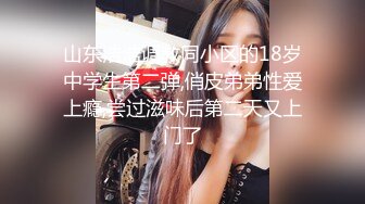 麻豆传媒 MCY-0027 空姐女友被强暴 苏清歌