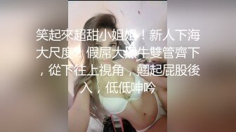 《顶级反差✅私拍泄密》你的女神有钱人的母G！美院模_特级别身材拜金高颜气质美女被大屌富二代各种调教啪啪抓着头发使劲肏 (3)