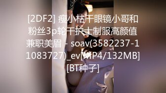 国产麻豆AV MD MD0039 女优面试员 叶一涵