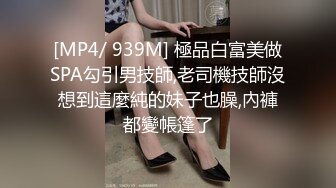 麻豆傳媒 MDX-0244 荒淫女仆的性爱侍奉 温芮欣