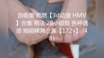 自收集 高燃【3d动漫 HMV】合集 蒂法 2B小姐姐 各种诱惑 啪啪裸舞合集【172v】 (48)