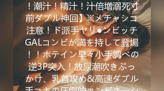 (日語中文字) 最終痴漢電車NEXT Molester.1「俺は…ただの痴漢だ」