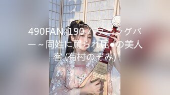 490FAN-190 ハプニングバー～同姓に罵られ屈●の美人客 (有村のぞみ)