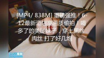 小母狗的发情4